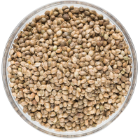 Organic Hemp Seed